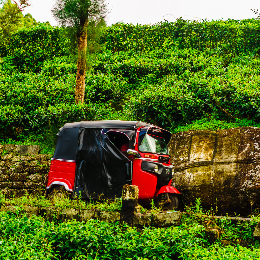Tuk Tuk Travels: Sri Lanka's Iconic Ride